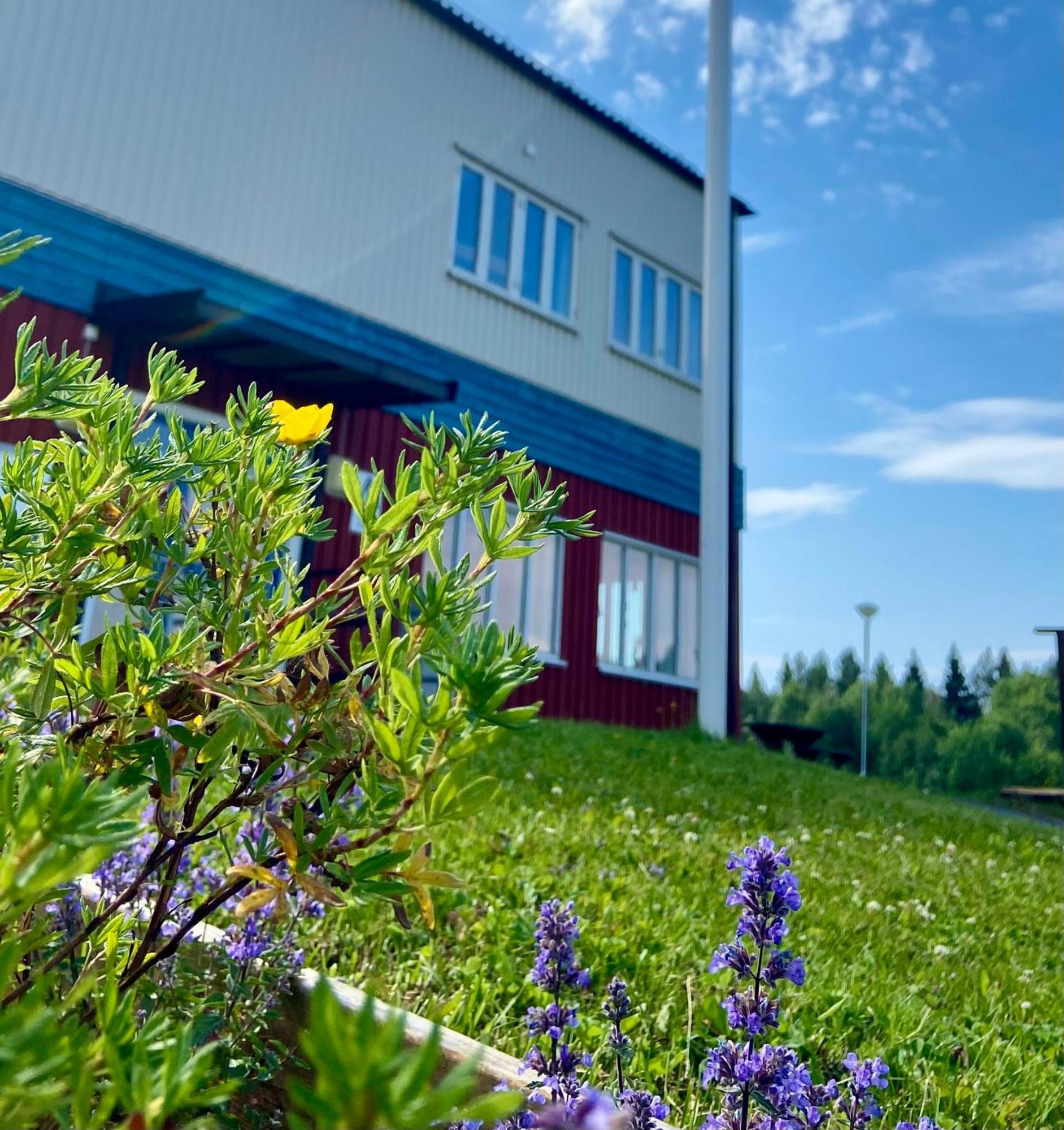 Naeskottshallen Nalden Esterno foto